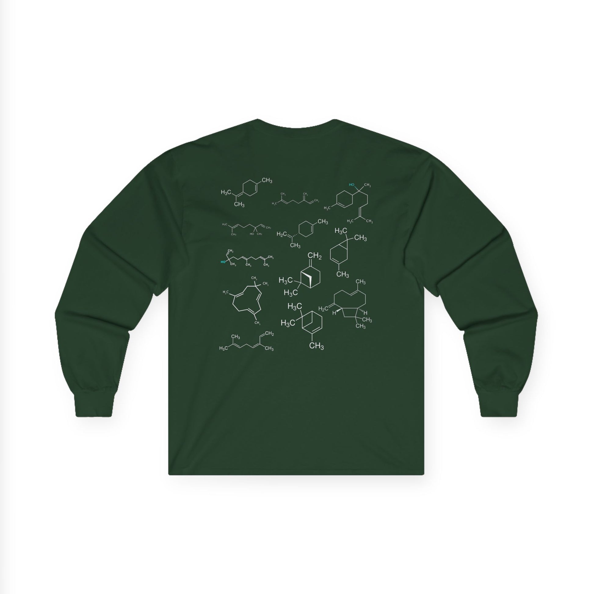 Stay Terpy Long Sleeve Tee